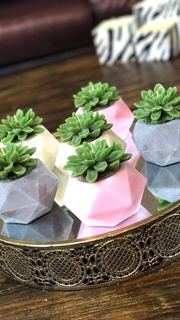 Geometrik Saksı Sükulent Mum