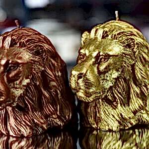 Aslan Mum Bronz Yaldız Altın Yaldız